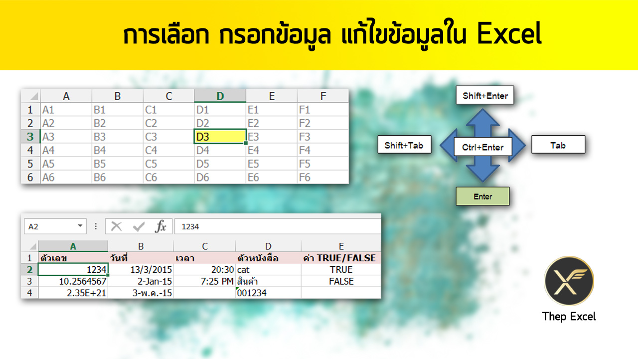 การเลือก กรอกข้อมูล แก้ไขข้อมูลใน Excel