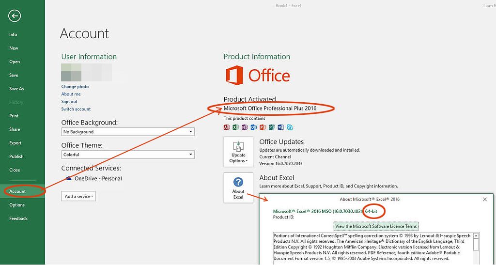 how to check excel version