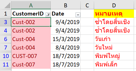 ข้อมูลซ้ำ Duplicates Data