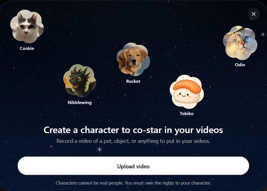 วิธีสร้าง Character ใน Sora 2 แบบเป็นคนสมจริง 36