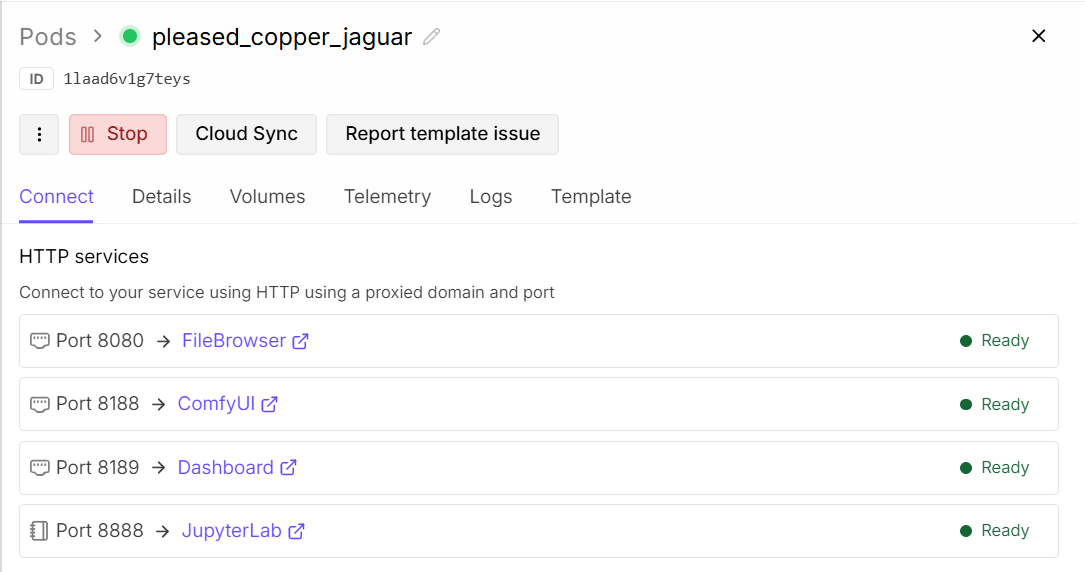 RunPod Connect: 8080 FileBrowser, 8188 ComfyUI, 8189 Dashboard, 8888 JupyterLab